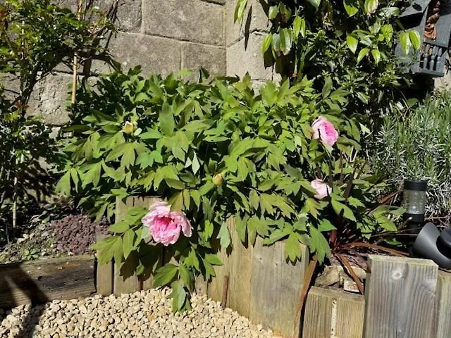 Ti Massa - Petit Cocon Avec Jardin A St Servan Saint-Malo 0*,  France